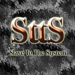 Slave to the System - Doobie Brothers (CDs)