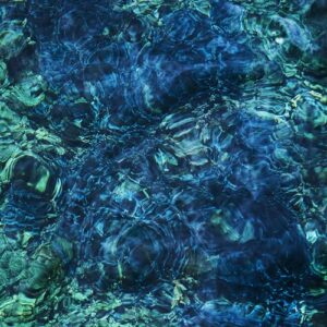 Luminescent Creatures - Ichiko Aoba (CDs)