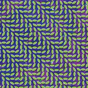 Merriweather Post Pavilion - Animal Collective (CDs)