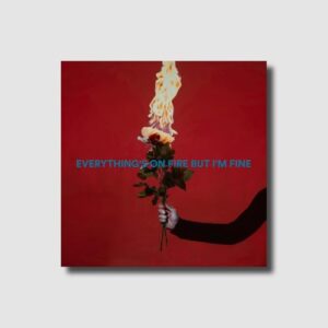 Everything's On Fire But I'm Fine[Deluxe Edition] - As December Falls (CDs)