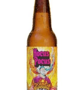 Hocus Pocus Cerveja Orange Sunshine American Blonde Ale Com Laranja 355Ml (Cervejas)