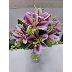 Roxo,1 UNID (CDs)
