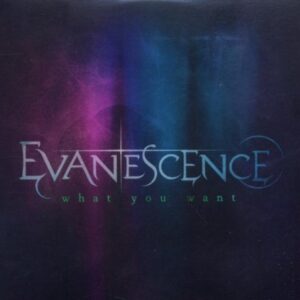 What You Want (2-Track) - Evanescence (CDs)