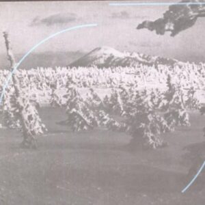 In Search of the Lost Divine Arc - ACID MOTHERS TEMPLE & THE MELTING PARAISO U.F.O. (CDs)