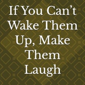 If You Can’t Wake Them Up, Make Them Laugh: Meditation, madness, and mild profanity: a practical journey to awakening - Grey CD, Nathan (CDs)