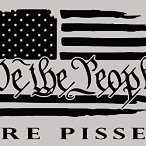 Adesivo de vinil We The People are Pissed Flag MKR |Carros Caminhões Vans Paredes Laptop| Preto | 19 x 13 cm | MKR2306 (Discos de Vinil)