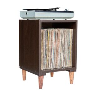 Nicho Rack Para Discos De Vinil (Tabaco) (Equipamentos)