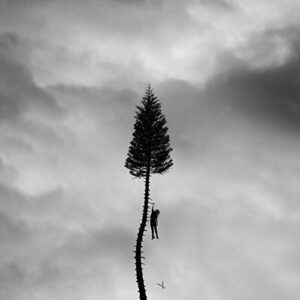 A Black Mile To The Surface - Manchester Orchestra (CDs)