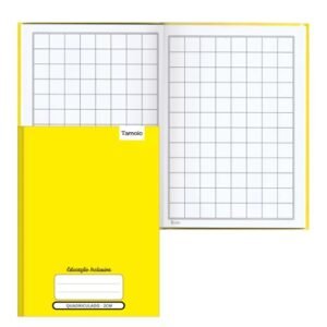 Tamoio - CADERNO QUADRICULADO 40 FOLHAS 2X2CM CD - TAMOIO (CDs)