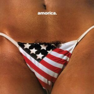 Amorica - Limited SHM Edition - The Black Crowes (CDs)
