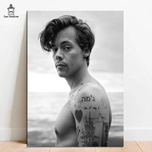 Quadro Placa Decorativa Harry Styles em MDF 28x20cm (CDs)