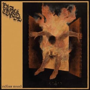 Endless Wound - Black Curse (CDs)