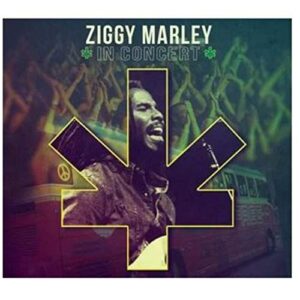 CD Ziggy Marley - In Concert - Ziggy Marley (CDs)