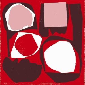 Mr Bongo Record Club Volume Five [VINYL] - Mr Bongo Record Club Volume Fi (CDs)