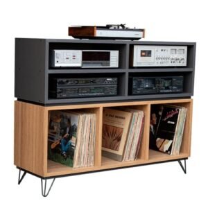 Rack Para Discos De Vinil Lps TOP-150 (Equipamentos)