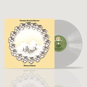 Photos Of Ghosts - 180-Gram Clear Vinyl (Discos de Vinil)