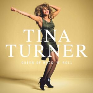 Queen of Rock 'N' Roll - Tina Turner (Discos de Vinil)