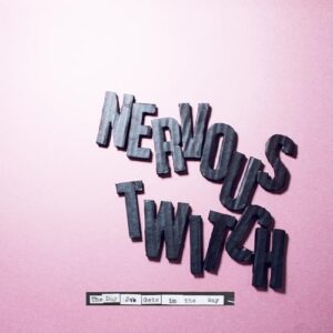 The Day Job Gets In The Way - Nervous Twitch (CDs)