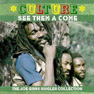 SEE THEM A COME - THE JOE GIBBS SINGLES COLLECTION 2CD - CULTURE (CDs)
