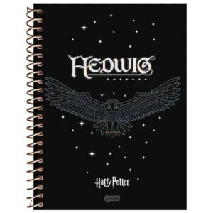 CADERNO ESPIRAL UNIV CD 10X1 160FLS HARRY POTTER PREMIUM (CDs)