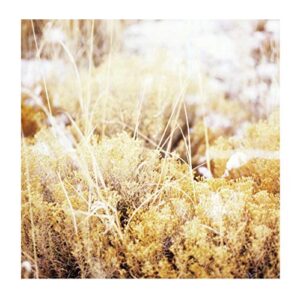 THE BRILLIANT TABERNACLE - MAMIFFER (CDs)