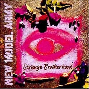 Strange Brotherhood - New Model Army (CDs)