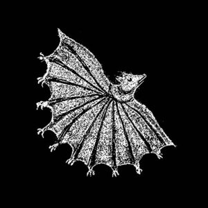 IGNORE GRIEF (SILVER GHOST COLOURED VINYL) (Discos de Vinil)