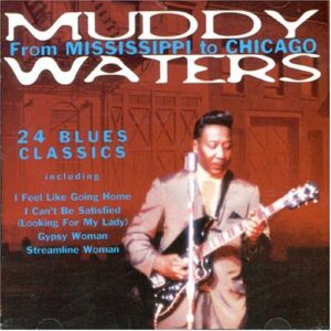 From Mississippi to Chicago - Waters, Muddy (CDs)