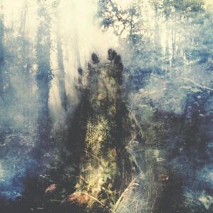 Wistful - Sylvaine (CDs)