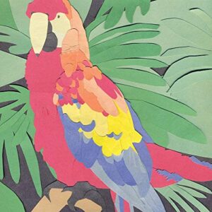 Parrot Flies - ALGERNON CADWALLADER (CDs)