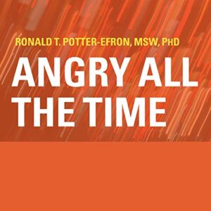 Angry All the Time: An Emergency Guide to Anger Control - Potter-Efron, Ronald T (CDs)
