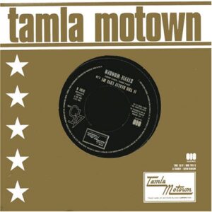 Positivity - Stevie Wonder (Discos de Vinil)