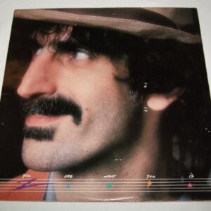You Are What You Is - Frank Zappa (Discos de Vinil)