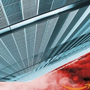 Worship - PLACE TO BURY STRANGERS (CDs)