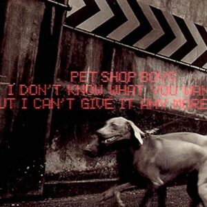 I Don't Know What You Want But I Can't Give It Anymore - Pet Shop Boys (CDs)