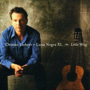 Little Wing (CDs)