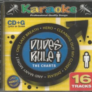 Karaoke: Dudes Rule The Charts (UK Import) - mixed (CDs)