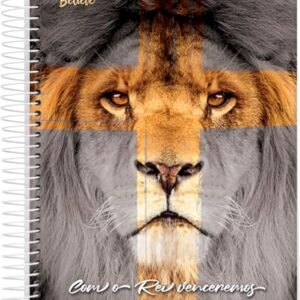 Caderno Espiral Univ CD 1 Matéria 80 Fls Believe Leão FSC - Jandaia (CDs)