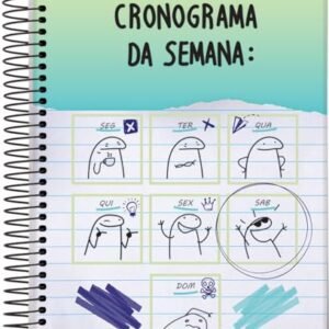 Caderno Espiral Univ CD 1 Matéria 80 Fls Flork Cronograma FSC - Jandaia (CDs)