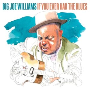 If You Ever Had The Blues - Big Joe Williams (CDs)