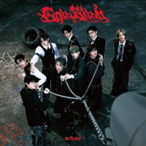 &TEAM [ Go in Blind (月狼) ] 3rd Single Album Standard Edition - &TEAM (CDs)