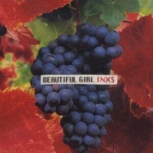 Beautiful Girl by Inxs (1993-05-03) (CDs)
