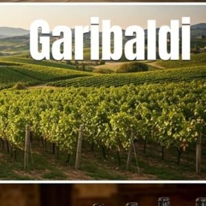 Garibaldi: Vinhos pelo Brasil (Wines of the World: Brazil) (Portuguese Edition) - Musumeci, Bernardo (Vinhos)