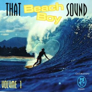 That Beach Boy Sound, Vol. 1 - Various Artists (CDs)
