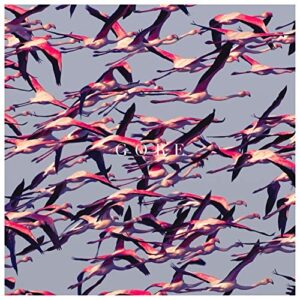 Deftones - Gore [CD] - Deftones (CDs)