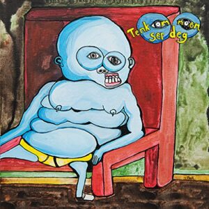 Tenk Om Noen Ser Deg - Det Skandaløse Orkester (CDs)