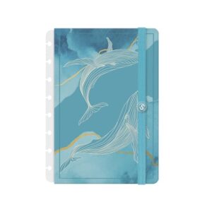 Capa e Contracapa Iscool Disc Para Caderno P Oceania Mar (CDs)