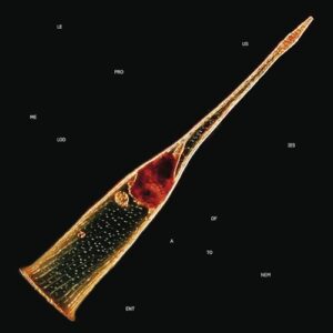 Melodies Of Atonement - Leprous (CDs)