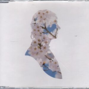 Miracles Pt.1 - Pet Shop Boys (CDs)
