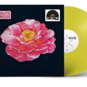 Posty Tribute To Nirvana Sun Colored Only 17,000 copies pressed! ) W/ white poly-lined inner sleeve - Postmalone(singer-songwriter) (Discos de Vinil)